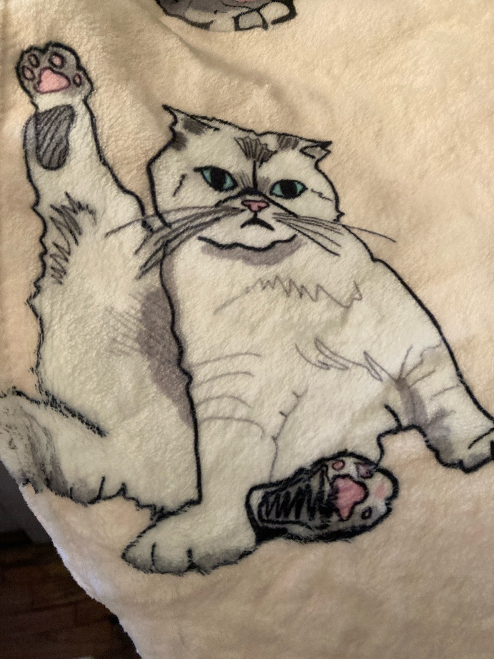 Taylor Swift Eras Themed Graphic Throw Blanket - Picture 9 of 9